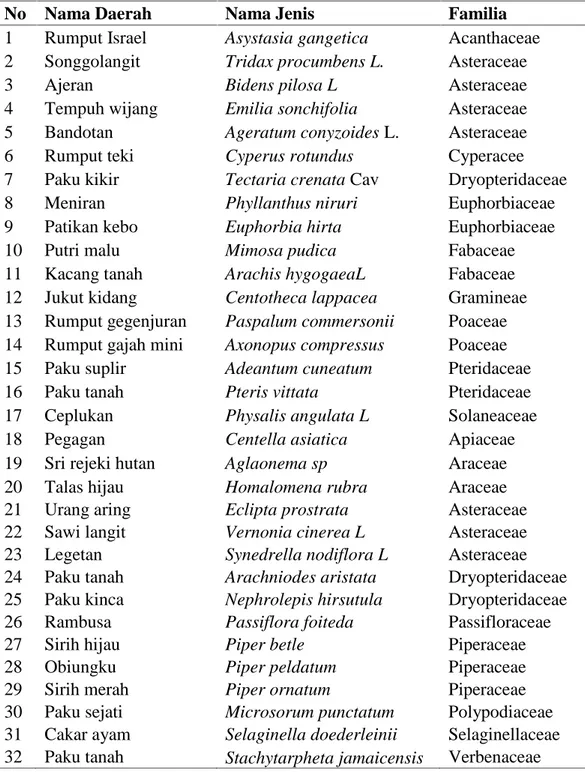Tabel 4.3 Jenis tumbuhan herba yang terdapat pada seluruh plot pengamatan di Kuta Malaka