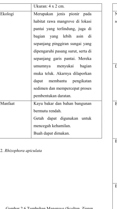 Tabel 2.5 Deskripsi Tumbuhan Mangrove Zieren, 2007) 