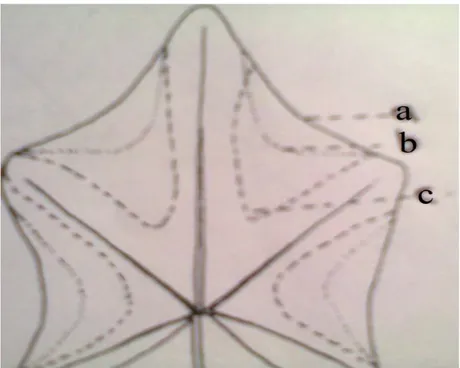 Gambar 2.11: Sketsa Bentuk-bentuk  tepi daun bertoreh           tidak merdeka 