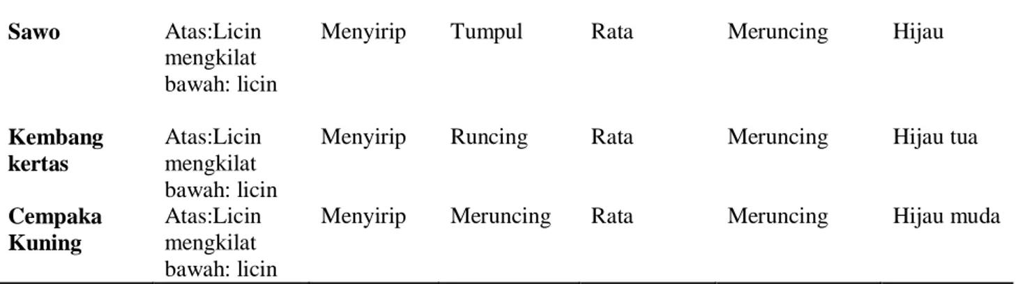 Tabel 4.3 Karakteristik Morfologi Daun yang Terdapat pada Gedung B di Fakultas        Tarbiyah dan Keguruan 