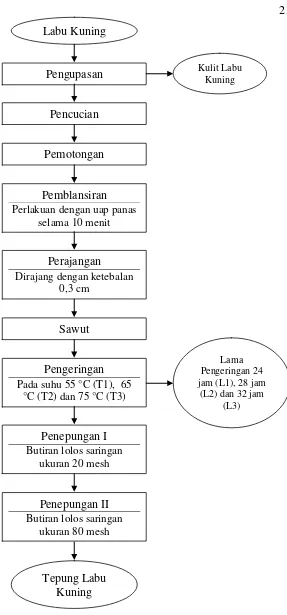 Gambar 3. Diagram alir pembuatan tepung labu kuning Sumber:  Hendrasty (2003) dimodifikasi 