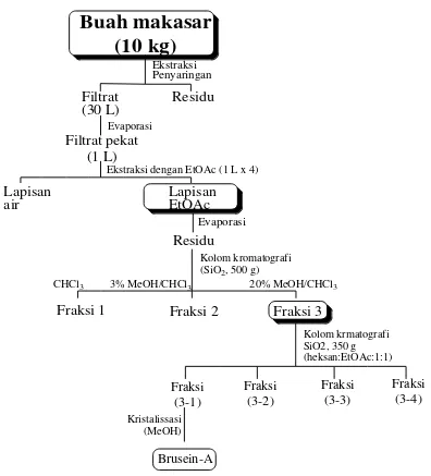 Gambar 2. Prosedur isolasi senyawa brusein-A dari buah makasar (Subeki et al., 