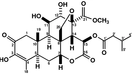 Gambar 3. Struktur kimia senyawa brusein-A dari buah makasar 