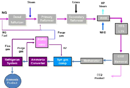 Gambar 2.1 Diagram Blok Pembuatan Amonia 