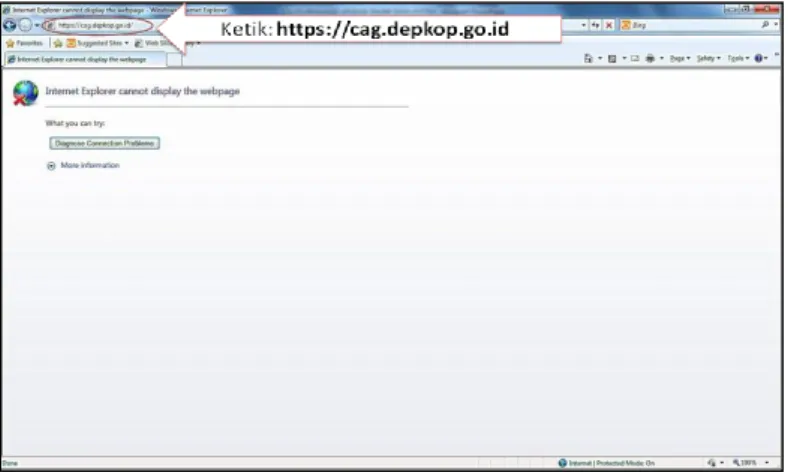 Gambar 2.1. Tampilan Windows Internet Explorer