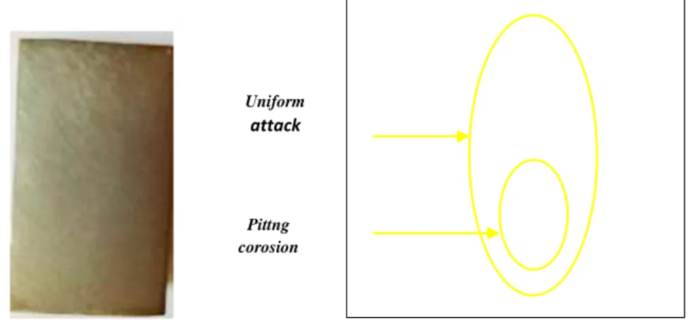 Gambar 5. jenis korosi yang terjadi pada plat stainless steel (SS) 304 setelah dilakukan perendaman  pada larutan asam sulfat 1 M 