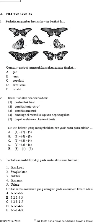 Gambar tersebut termasuk keanekaragaman tingkat.... 