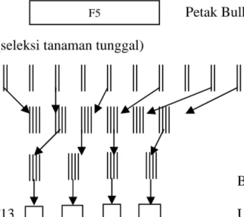 Gambar 1. Metode Seleksi                                                                            ( Poespodarsono, 1988)                      