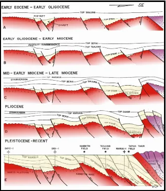 Gambar 2.1 Proses tektonik dan pengendapan formasi-formasi pada Cekungan 