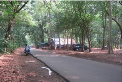 Gambar 3  Jalan aspal KHDTK Cikampek. 