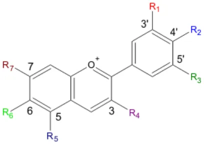 Gambar 6. Struktur kimia antosianin 