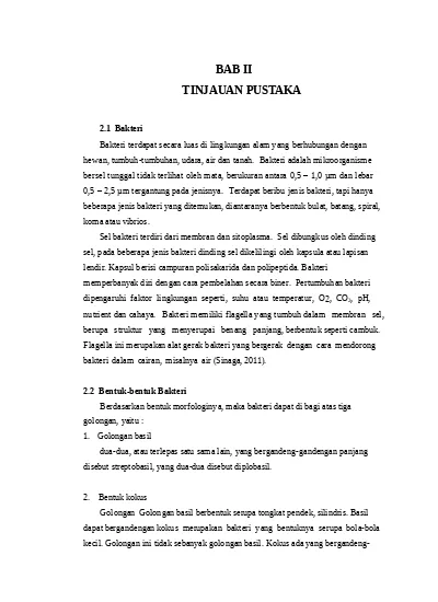 BAB II TINJAUAN PUSTAKA 2.1 Bakteri