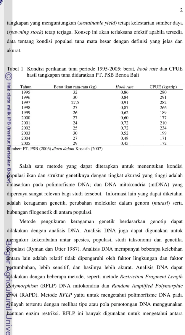 Tabel 1  Kondisi perikanan tuna periode 1995-2005: berat, hook rate dan CPUE  hasil tangkapan tuna didaratkan PT