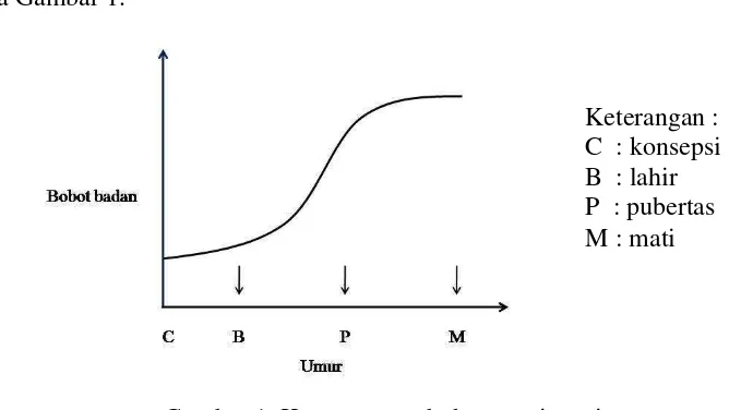 Gambar 1. Kurva pertumbuhan ruminansia. Sumber : Bowker, et al. (1978). 