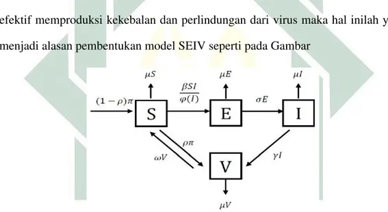 Gambar 2.4 Diagram Model SEIV
