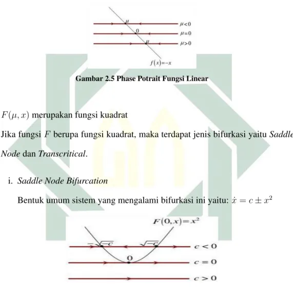Gambar 2.5 Phase Potrait Fungsi Linear
