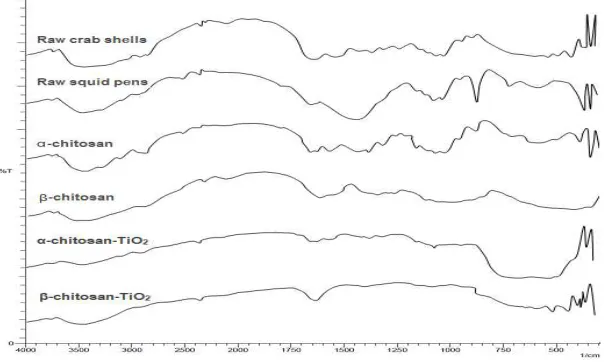Figure 1. FT-IR spectra of crab shells,squid pens, chitosan and nanoparticle chitosan-TiO2
