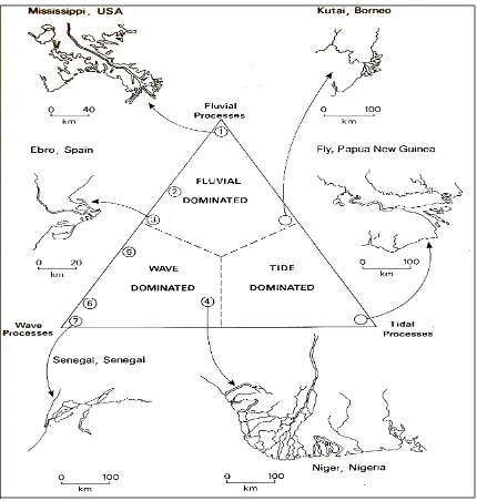 Gambar 3.  Tipe Delta dalam Hubungannya dengan Tenaga Fluvial, Gelombang dan Pasut  (Sumber: Summerfield, 1991)
