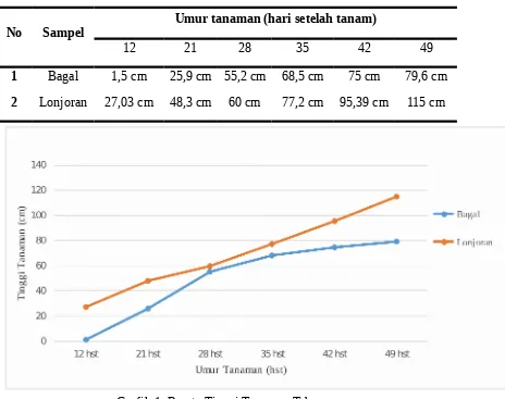 Grafik 1. Rerata Tinggi Tanaman Tebu