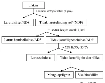Gambar 5. Bagan zat makanan dalam pakan menurut Metode Van Soest 