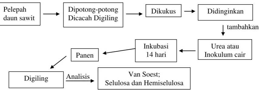 Gambar 6.  Skema tata letak 