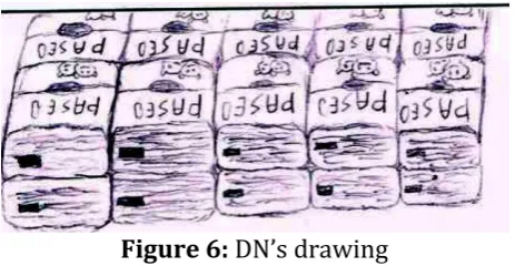 Figure 6: DN’s drawing 