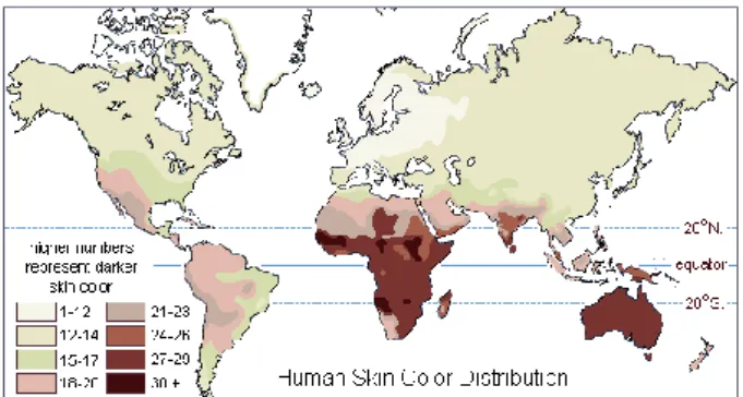 Gambar 6. Penyebaran warna kulit di Dunia 