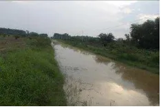 Figure 8. Tertiary gate installed at outside (tide water can not enter) with water    management objective is maximum drainage