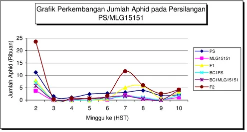 Grafik Perkembangan Jumlah Aphid pada Persilangan  PS/MLG15151 05 10152025 2 3 4 5 6 7 8 9 10 Minggu ke (HST)