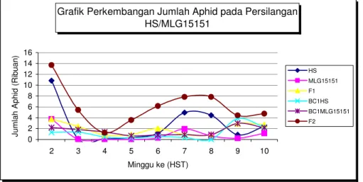 Grafik Perkembangan Jumlah Aphid pada Persilangan  HS/MLG15151 02468 10121416 2 3 4 5 6 7 8 9 10 Minggu ke (HST)