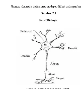 Gambar skematik tipikal neuron dapat dilihat pada gambar 2.1