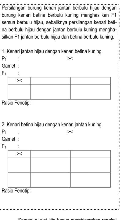 Gambar 13: Struktur Kromosom X dan Kromosom Y 