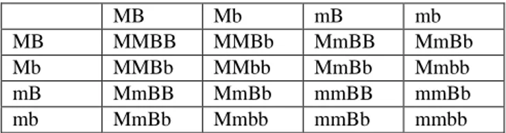 Tabel 1 Persilangan MMbb &gt;&lt; mmBB 