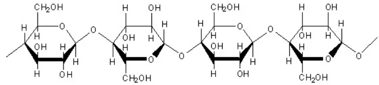 Gambar 1. Struktur selulosa(Wegener dan Fengel.1995) 