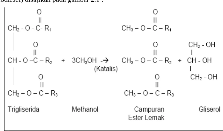 Gambar 2.1 Reaksi Proses Transesterifikasi dengan Metanol