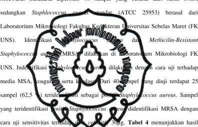 Tabel 4. Hasil Identifikasi Staphylococcus aureus dan MRSA 