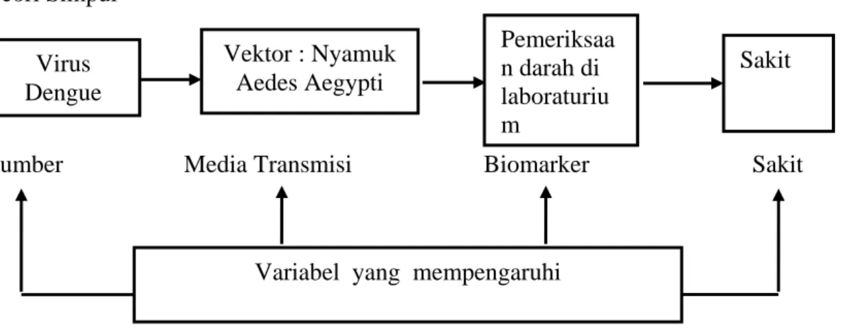 Gambar 2.4 Kerangka Teori Simpul DBD Virus  Dengue Vektor : Nyamuk Aedes Aegypti Pemeriksaan darah di laboraturium  Sakit 