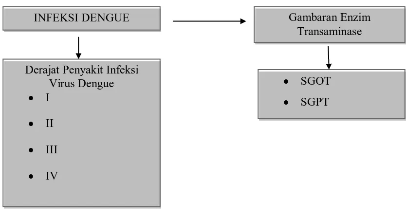 Gambaran Enzim Transaminase 