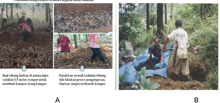 Gambar 9.  Membuat Arkoba diantara tegakan mangium (A) dan Pinus (foto dok :gsmlina & Sri K)