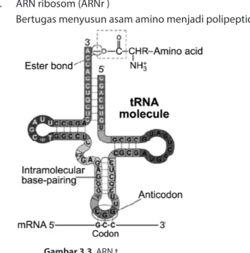 Gambar 3.3  ARN t