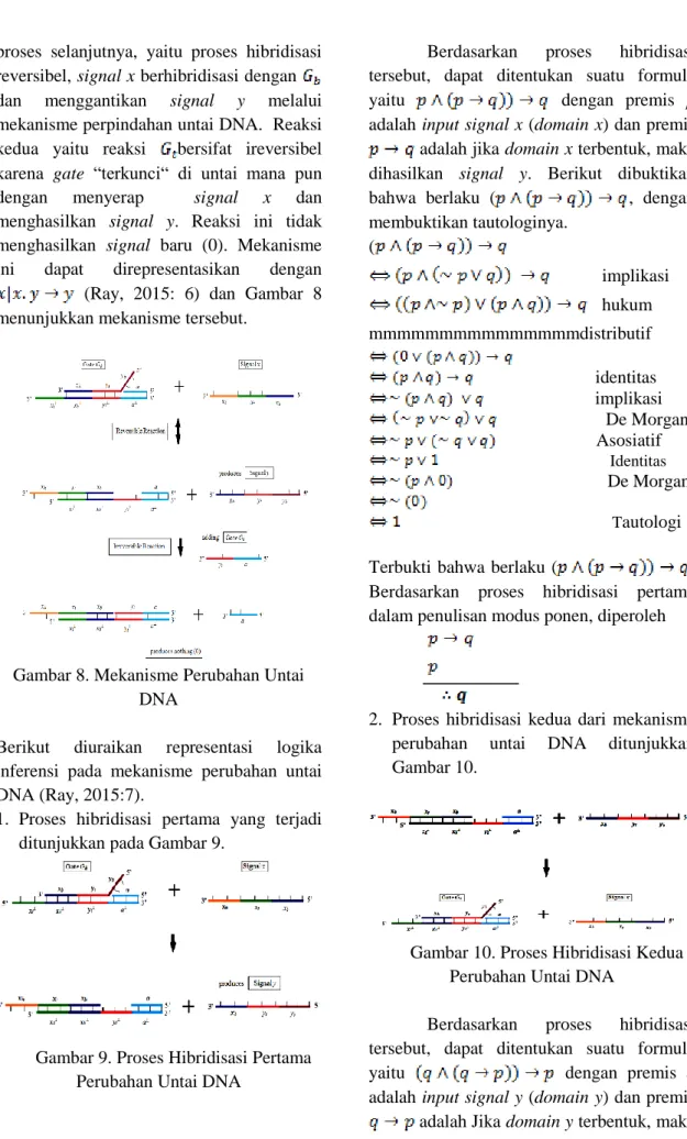 Gambar 8. Mekanisme Perubahan Untai  DNA 