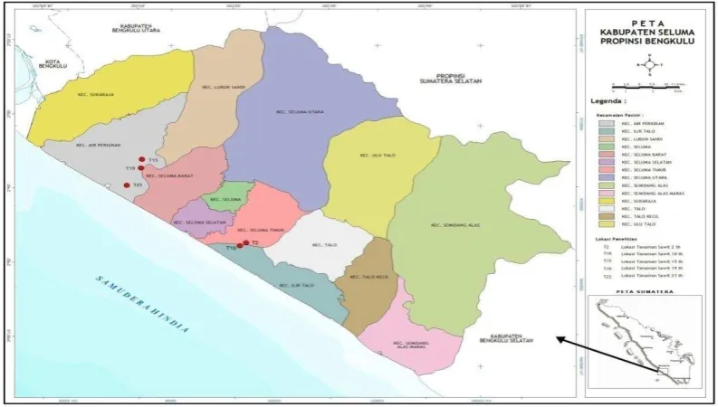 Fig. 1:Location of Sampling (T2, T10, T15, T19 and T23) in Seluma Regency, Bengkulu Province