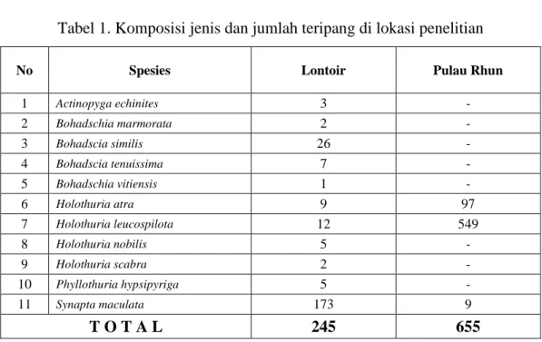 Tabel 1. Komposisi jenis dan jumlah teripang di lokasi penelitian 