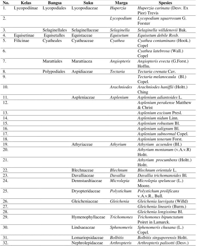 Tabel  1.  Hasil Penelitian Jenis-jenis Pteridophyta di Kawasadn Hutan Pacet Taman Hutan Raya Raden  Soerjo Kecamatan Pacet Kabupaten Mojokerto 