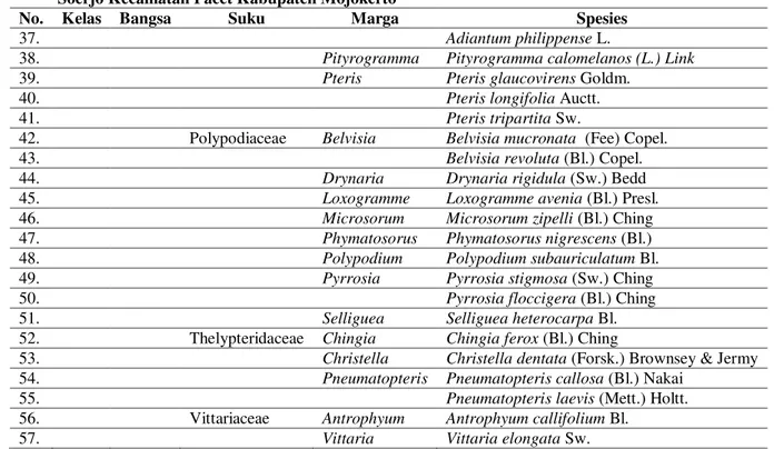 Tabel  2.    Hasil  Penelitian  Jenis-jenis  Pteridophyta  di Kawasan  Hutan  Pacet  Taman  Hutan Raya  Raden  Soerjo Kecamatan Pacet Kabupaten Mojokerto 