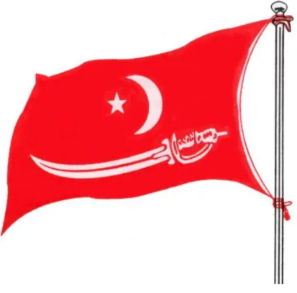 Figure 5.2 The flag of the Aceh government Kingdom (1511-1530) 