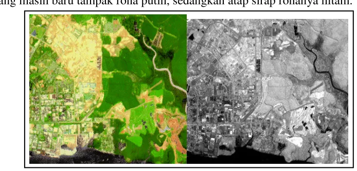 Gambar 8 : Warna dan Rona 