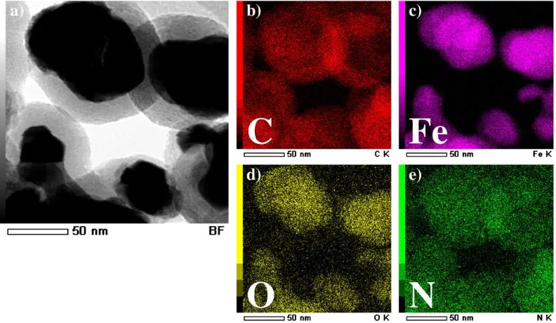 Fig. 4. STEM image (a) and EDS elemental mapping images (b, c, d, and e) of C, Fe, O and N elements, respectively, of treated sample with condition: 10 min of Ar plasma pre-treatment followed by 2 min of NH3 plasma post-treatment performed at 80 W of RF power and 50 Pa of gas pressure.