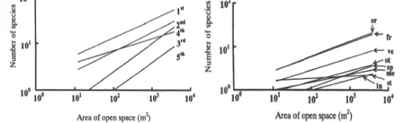 Gambar 2. Hubungan antara luas lahan pekarangan dengan jumlah spesies berdasarkan strata tanaman (kiri), dan berdasarkan fungsi tanaman (kanan) (Ariin 1998; Ariin et al., 1997)