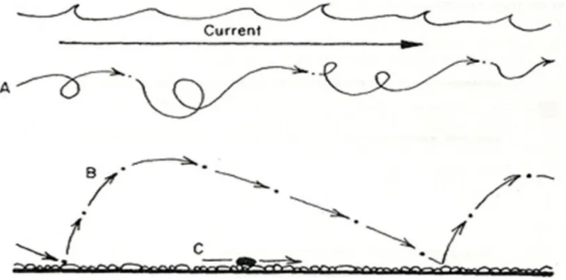Gambar 2.2 Mekanisme transpor sedimen (A= Suspension, B= Saltation, C=        Bedload) (Google, 2014)